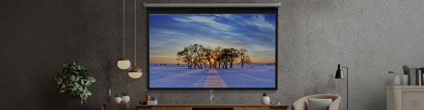 Projector Scree