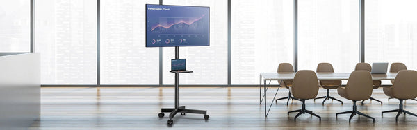Standard TV Carts